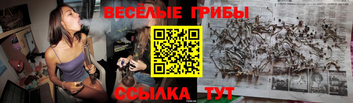 даркнет сайт  Вход с VPN  Галлюциногенные грибы прущие грибы  Майкоп  Псилоцибиновые грибы Cubensis 